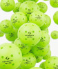 Pro1 Training Pickleball
