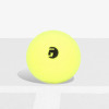 Librarian Foam Pickleball