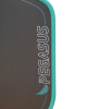 Pegasus Power 2